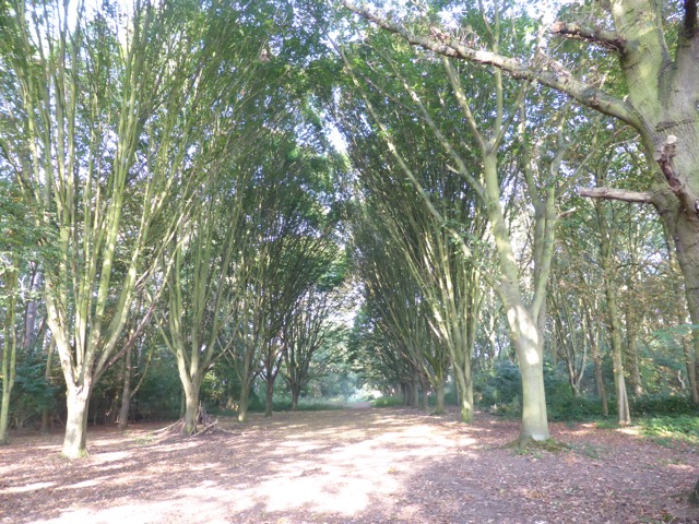 23.9.2014 ( Section 7 )