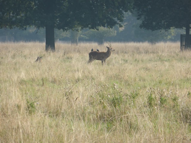 23.9.2014 ( Section 7 )