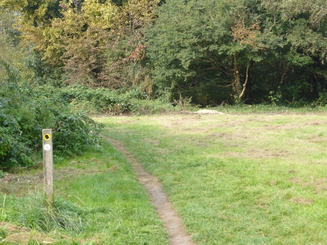 23.9.2014 ( Section 7 )