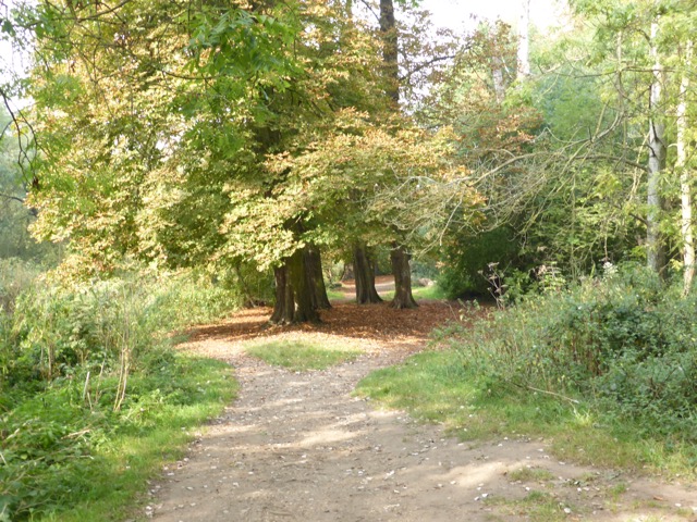 23.9.2014 ( Section 7 )