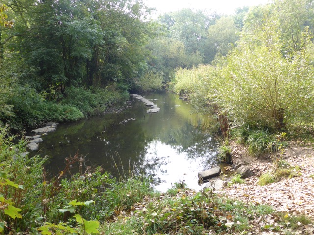 23.9.2014 ( Section 7 )