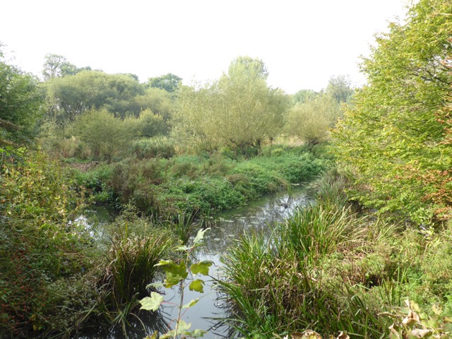 23.9.2014 ( Section 7 )