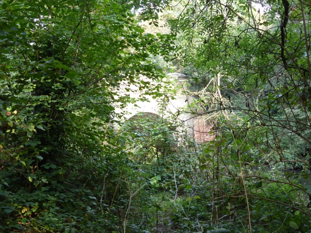 23.9.2014 ( Section 7 )