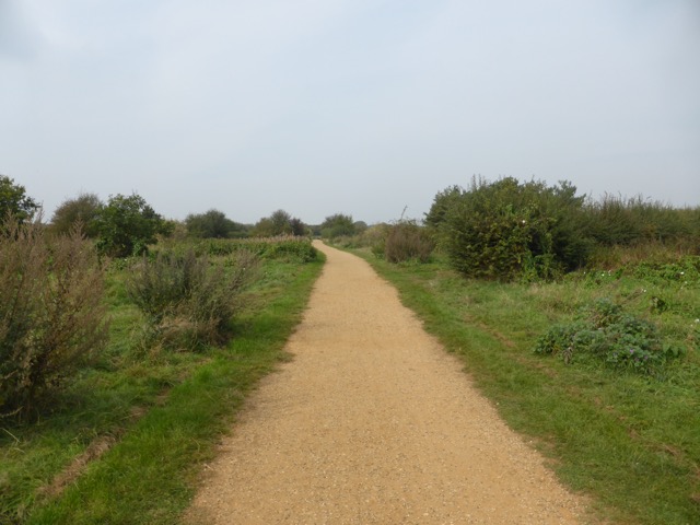 23.9.2014 ( Section 7 )