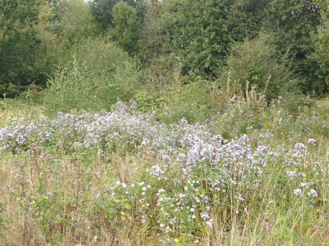 23.9.2014 ( Section 7 )