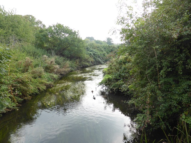 23.9.2014 ( Section 7 )